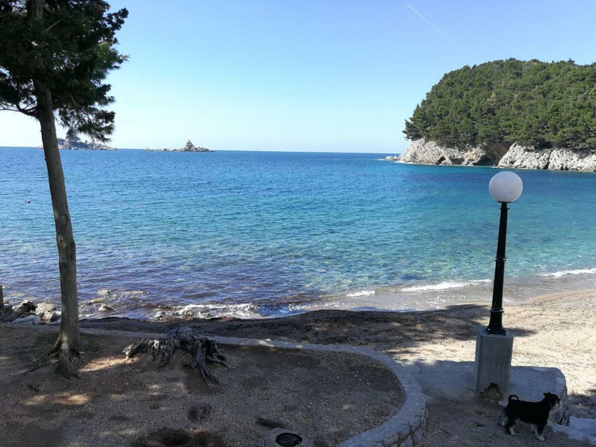 Apartment Montenegro Sea Pearl
